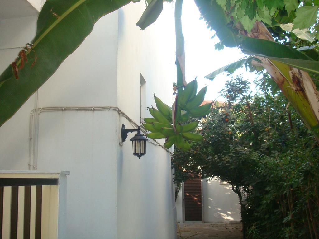 Karis Hotel Kos Bagian luar foto